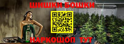 прущие крисы Краснознаменск