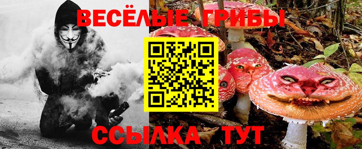 Галлюциногенные грибы Cubensis Карачаевск