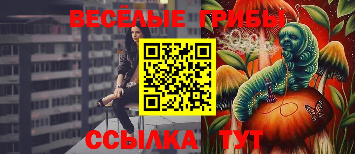Псилоцибиновые грибы Psilocybine cubensis  дарнет шоп  Карачаевск  Вход с VPN 